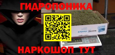 трава Гусь-Хрустальный