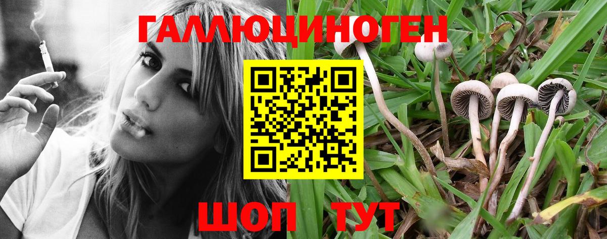 Псилоцибиновые грибы Psilocybe  Вход с VPN  Набережные Челны 
